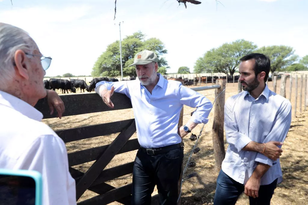 Rodriguez Larreta DT 3