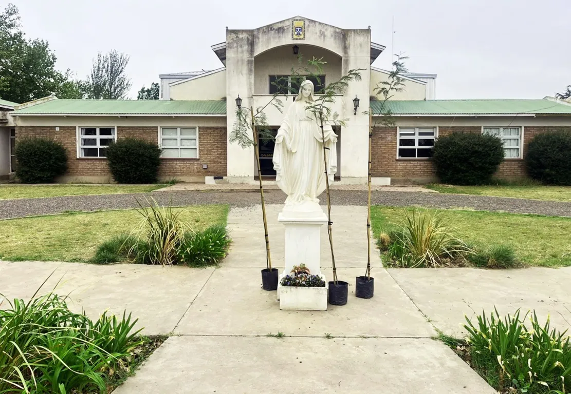 IPSF ARBOLES 8 (FILEminimizer)