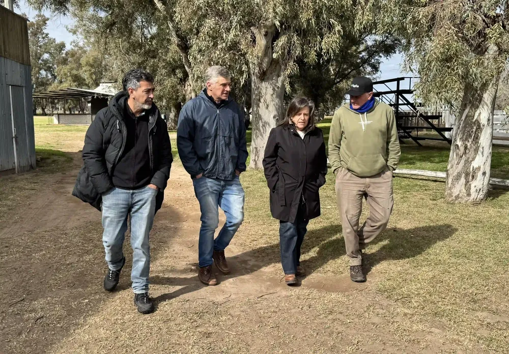 RURAL REALICO GONZALEZ BARALDI 3 C
