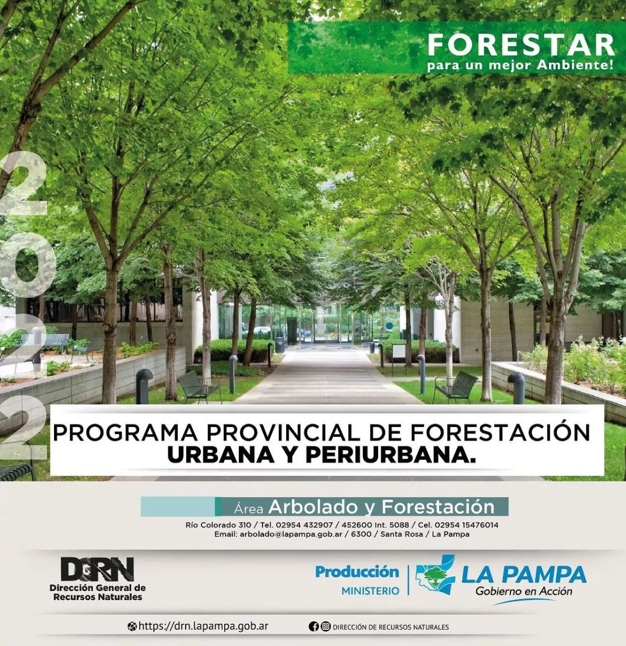 forestación