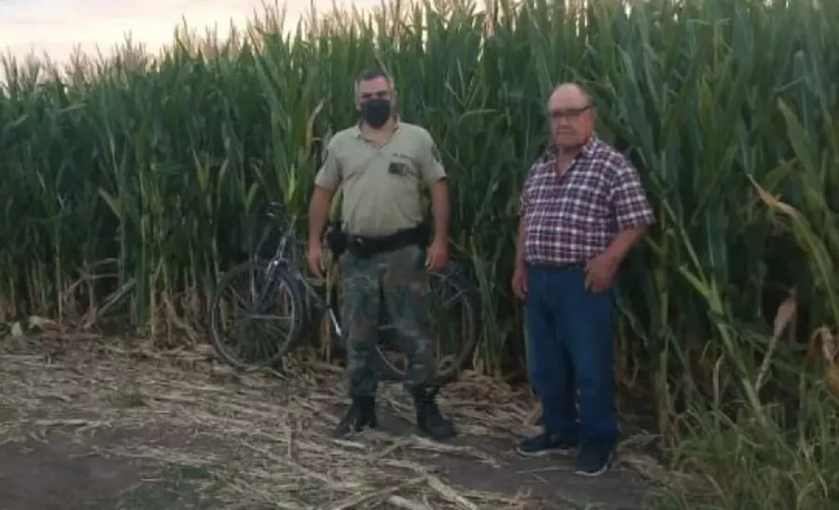 hombre perdido en un maizal