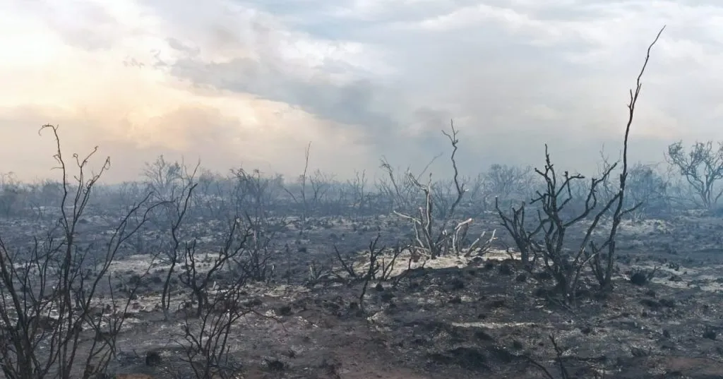 incendio-1024x537