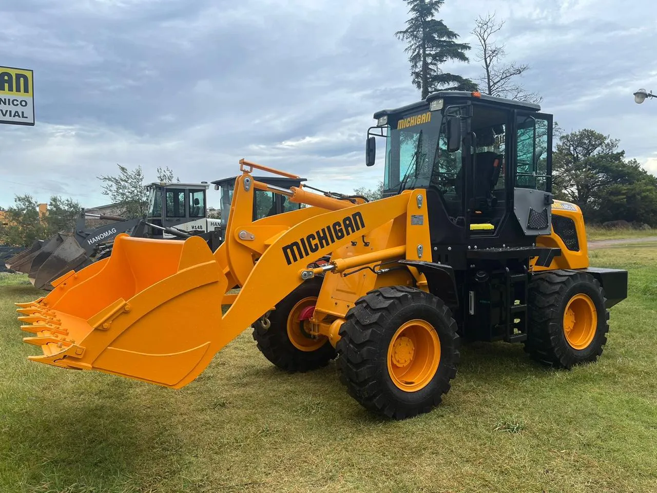 PALA QUETREQUÉN NUEVA 4