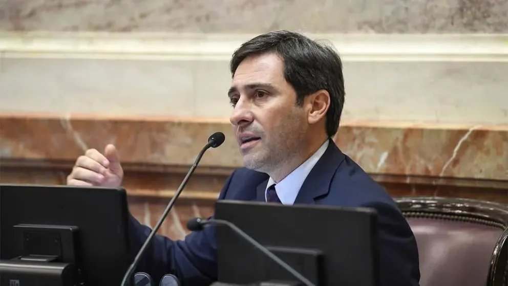 Martín Goerling Lara, jefe del bloque del PRO en el Senado,