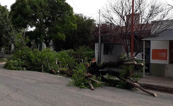 FB_IMG_1545934588957