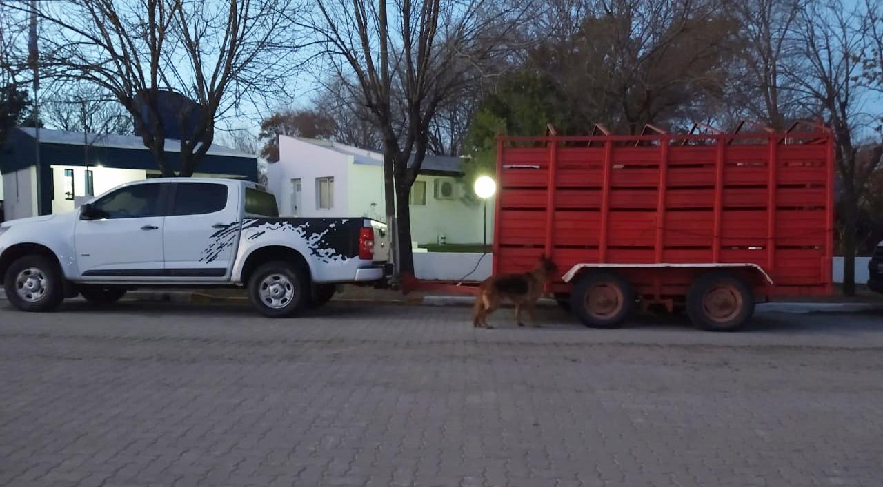 9c5785a1-450e-40e9-9193-068eb3aaa3a0