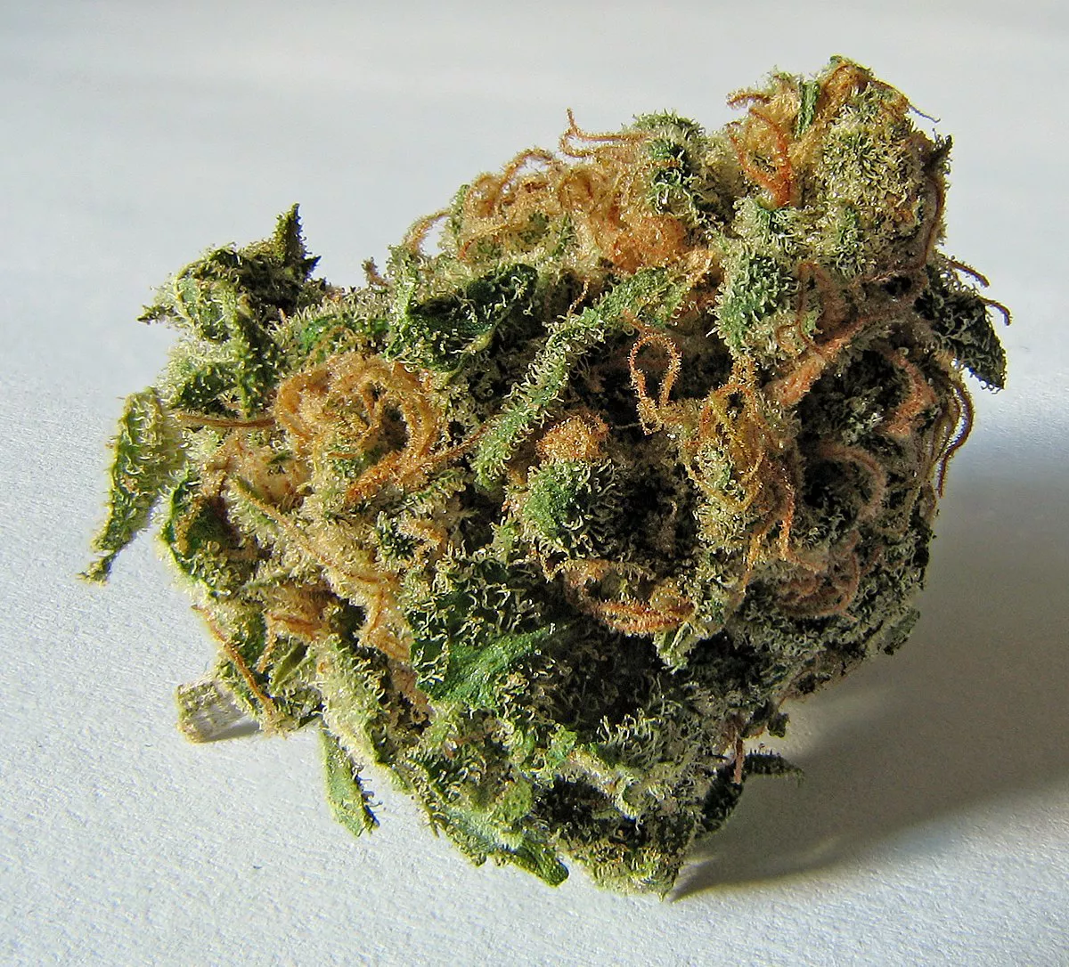 flor cannabis