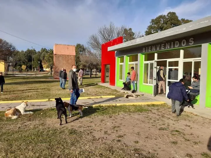 castración mascotas 3