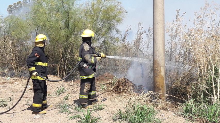 20180120_154753 (FILEminimizer)