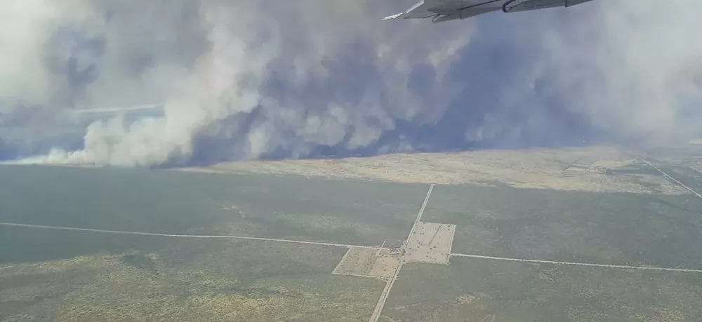 86254_img-20220114-wa0050 (1)