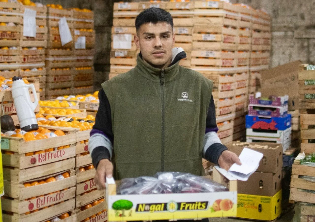 castaño frutas 2