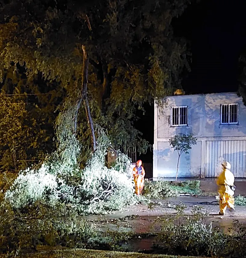 e7ae51d4-61af-4f24-86c4-811305ce34dd