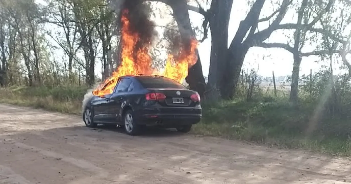 vento1