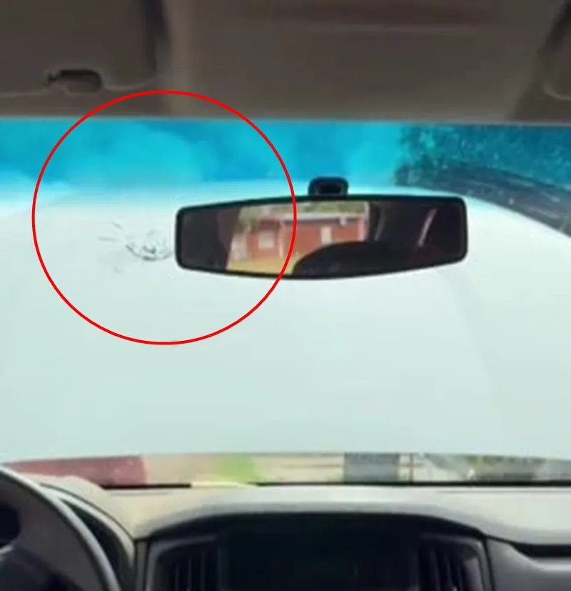 7a6e44fc-f9cf-47e2-ab6d-71c390e64682