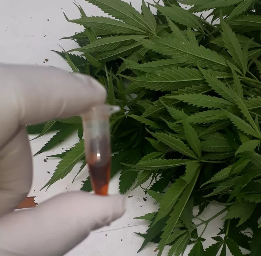 f40fbb2d-3a4b-4914-9324-b0aaed031015