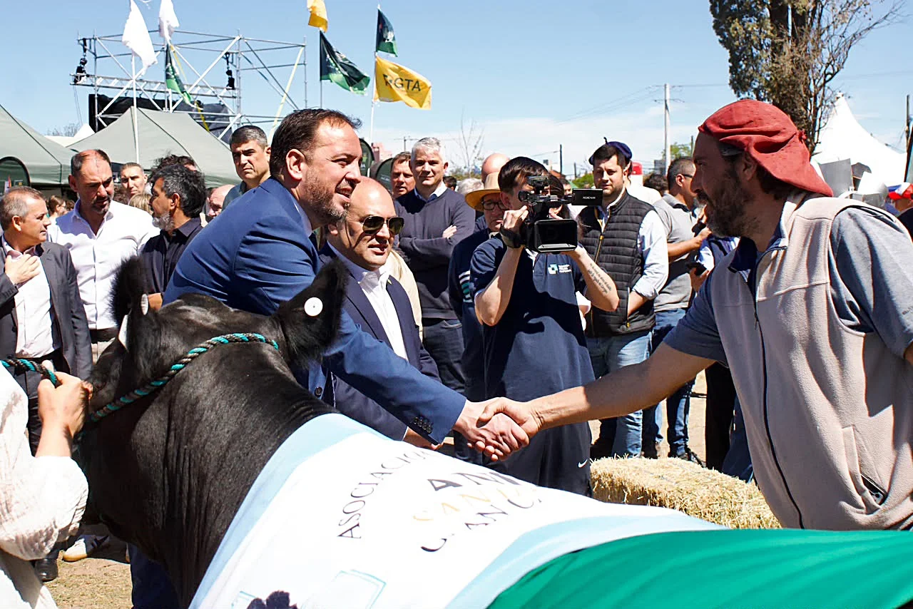 DI NAPOLI RURAL 3