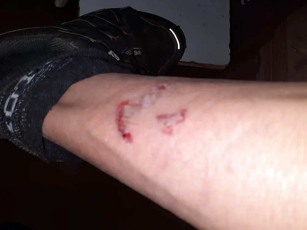 95fc6b4a-8c22-44b3-8bfa-ed733454ea5b