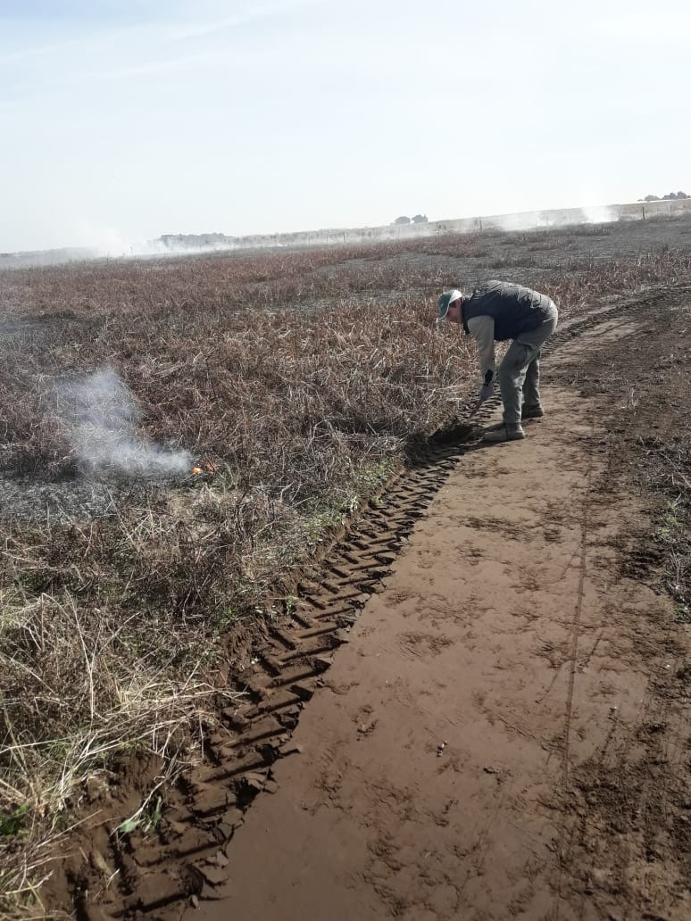 71a432d0-0a80-4279-b661-a26a75172405