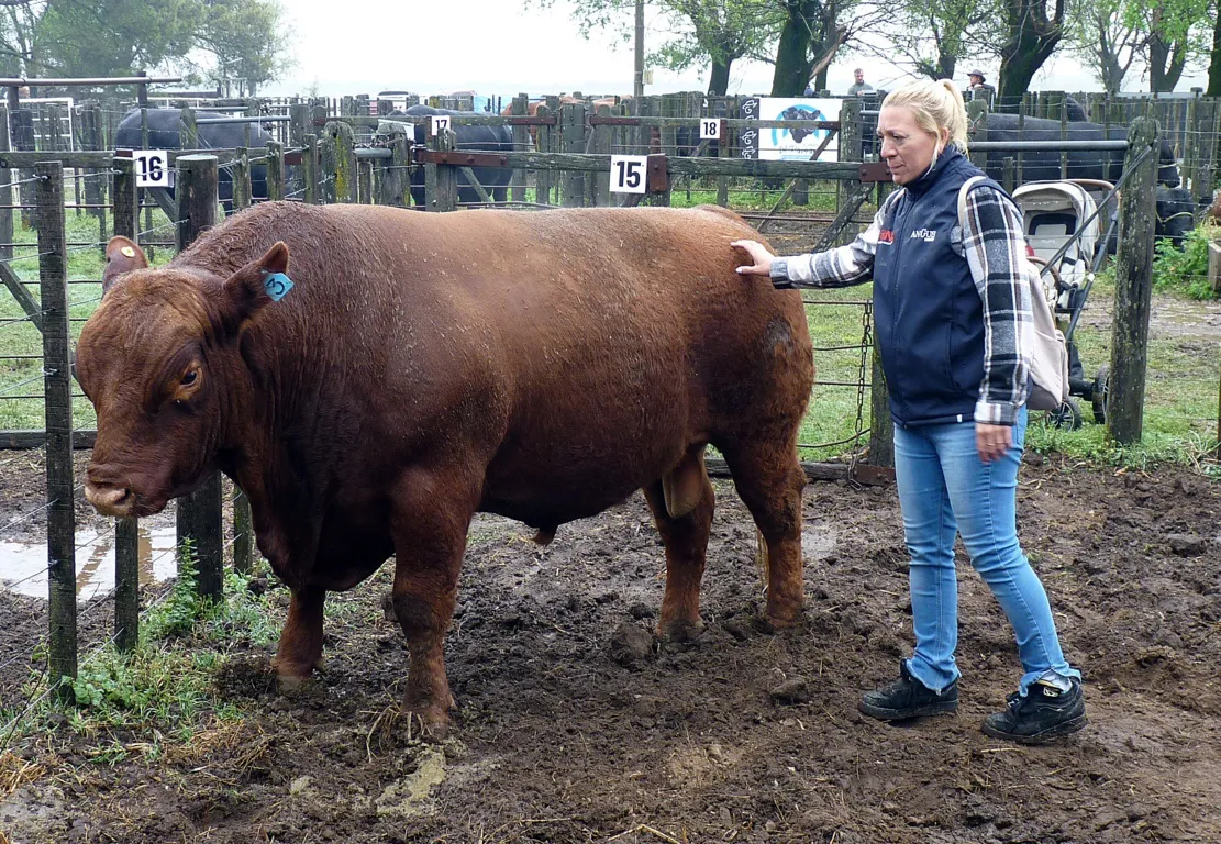 rural sabado 12 FILE