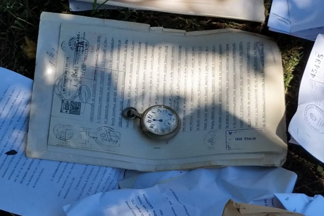 58060352-b6e6-4fb6-b737-09183d861ed6-fit-666x444