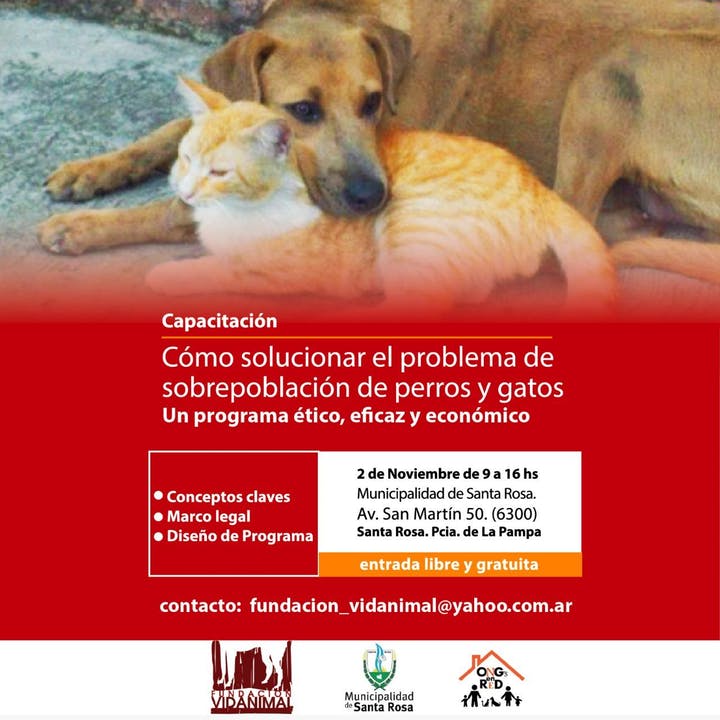 https___cdn.evbuc.com_images_75742015_299400710318_1_original