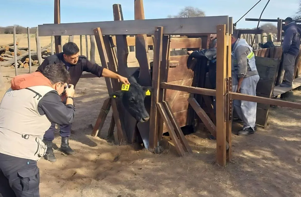 abigeatoeneloeste2024-766-1170x766