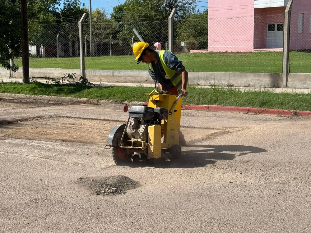 bacheo 7