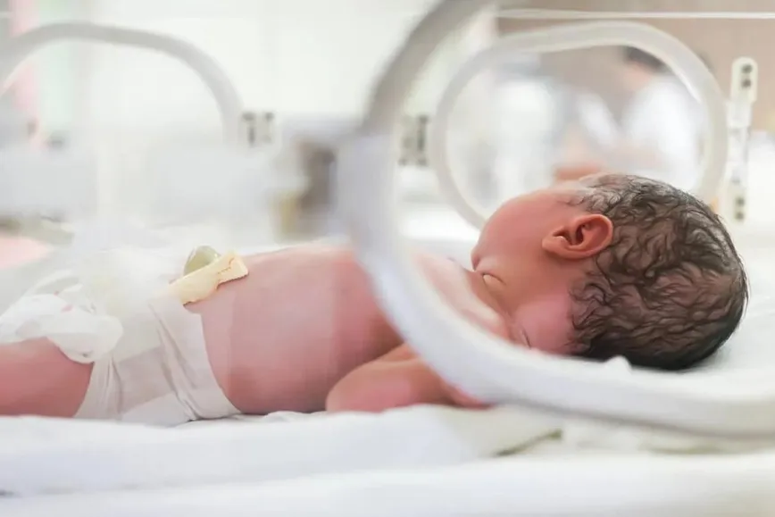 imagen_2025-03-31_075137557