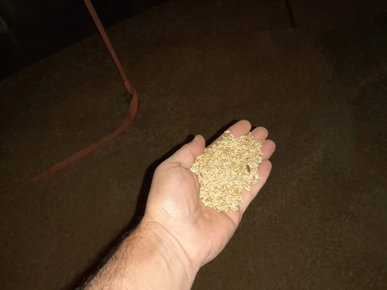 16c543e8-2540-45df-a2a7-fe3e653e937d