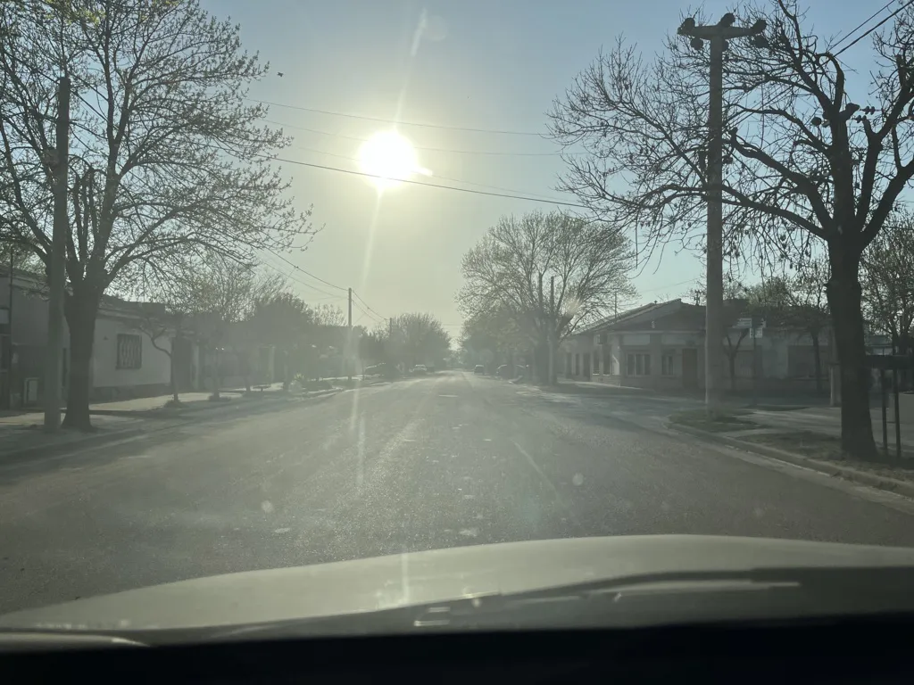 basurero ramas humo 8 (FILEminimizer)