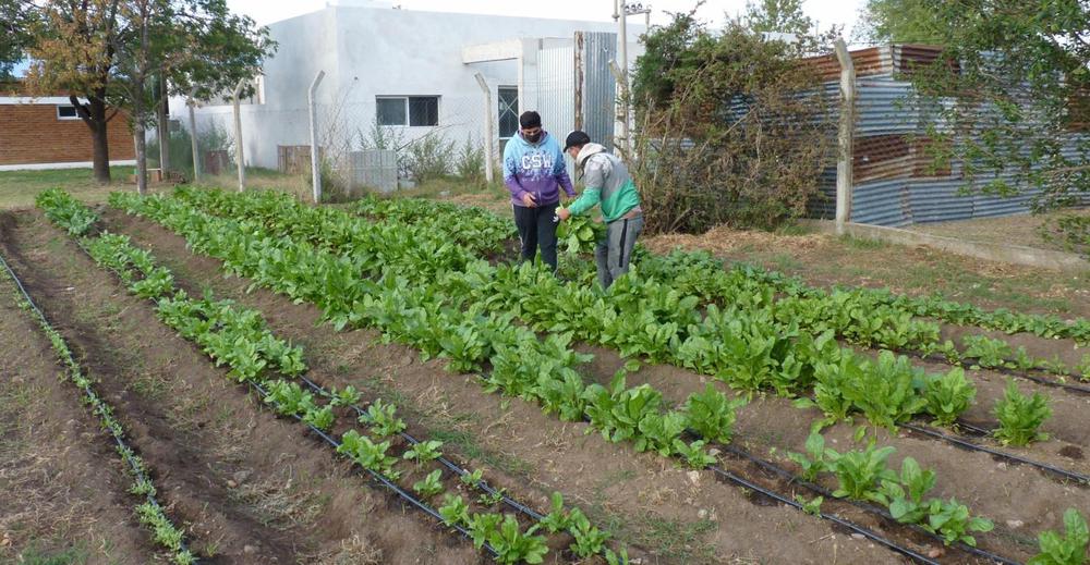 P1080890 (FILEminimizer)