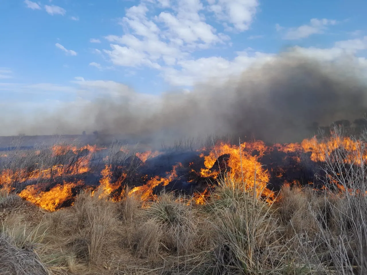 incnedio villa huidobro 2