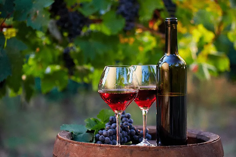 vinos