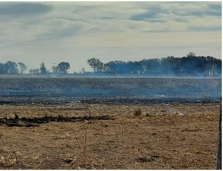 incendio campo