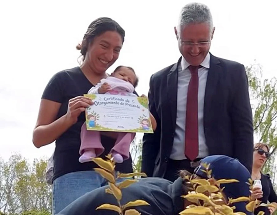 UN NIÑO UN ÁRBOL