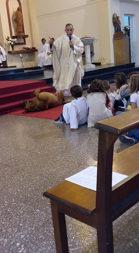 Asuncion Cipolla en Sta Rosa 1