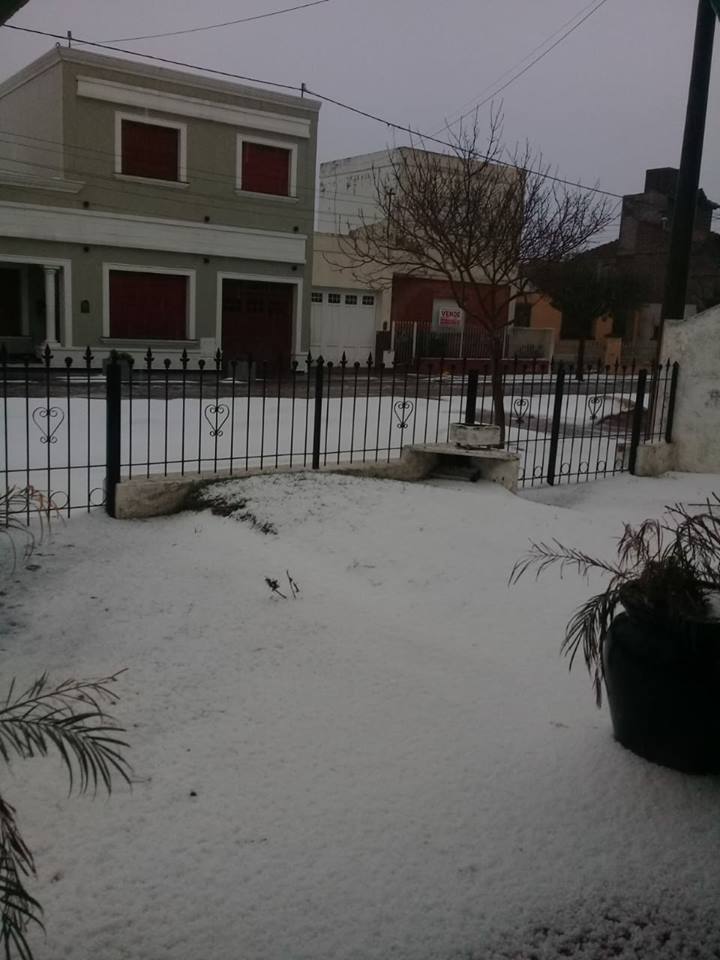 42636948_10217613007346825_1306476004302127104_n