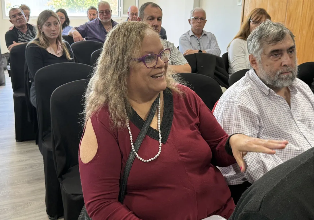 audiencia publica parque voltaico 8 FILE