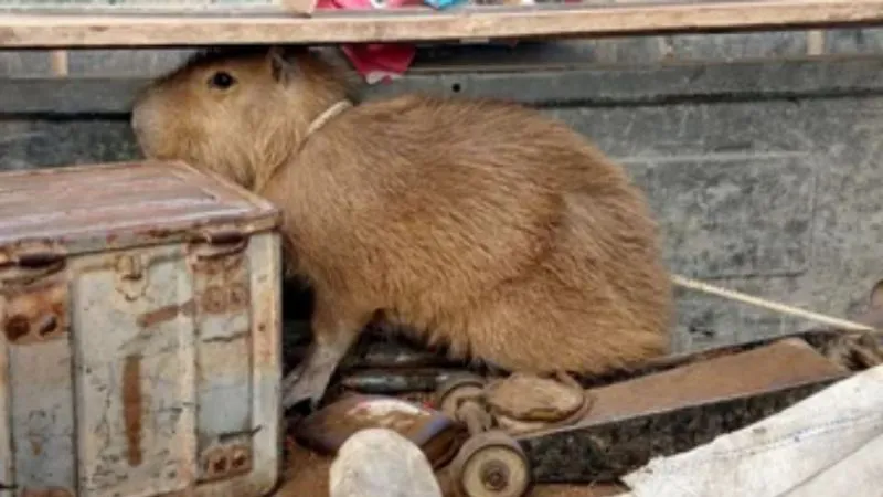 f800x450-188976_240422_5050