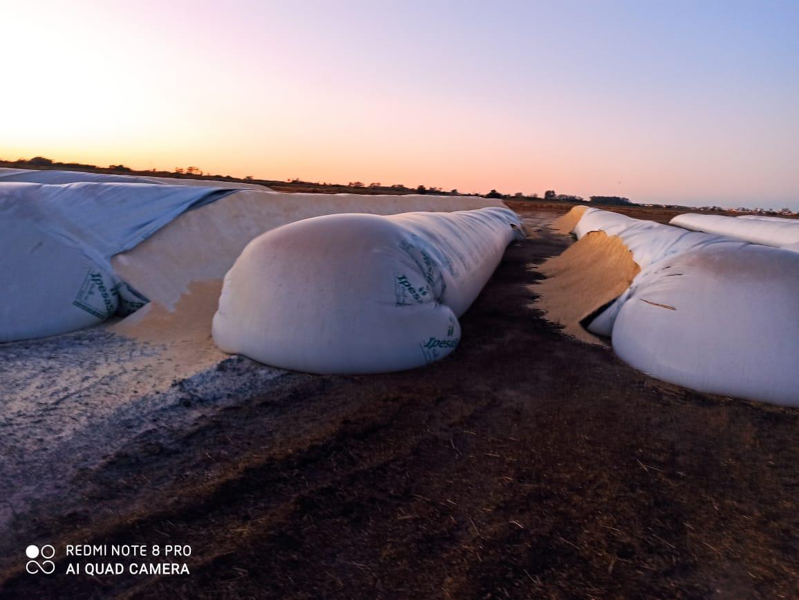 a1642634-ac11-4387-8ec6-4df93c3ecdef