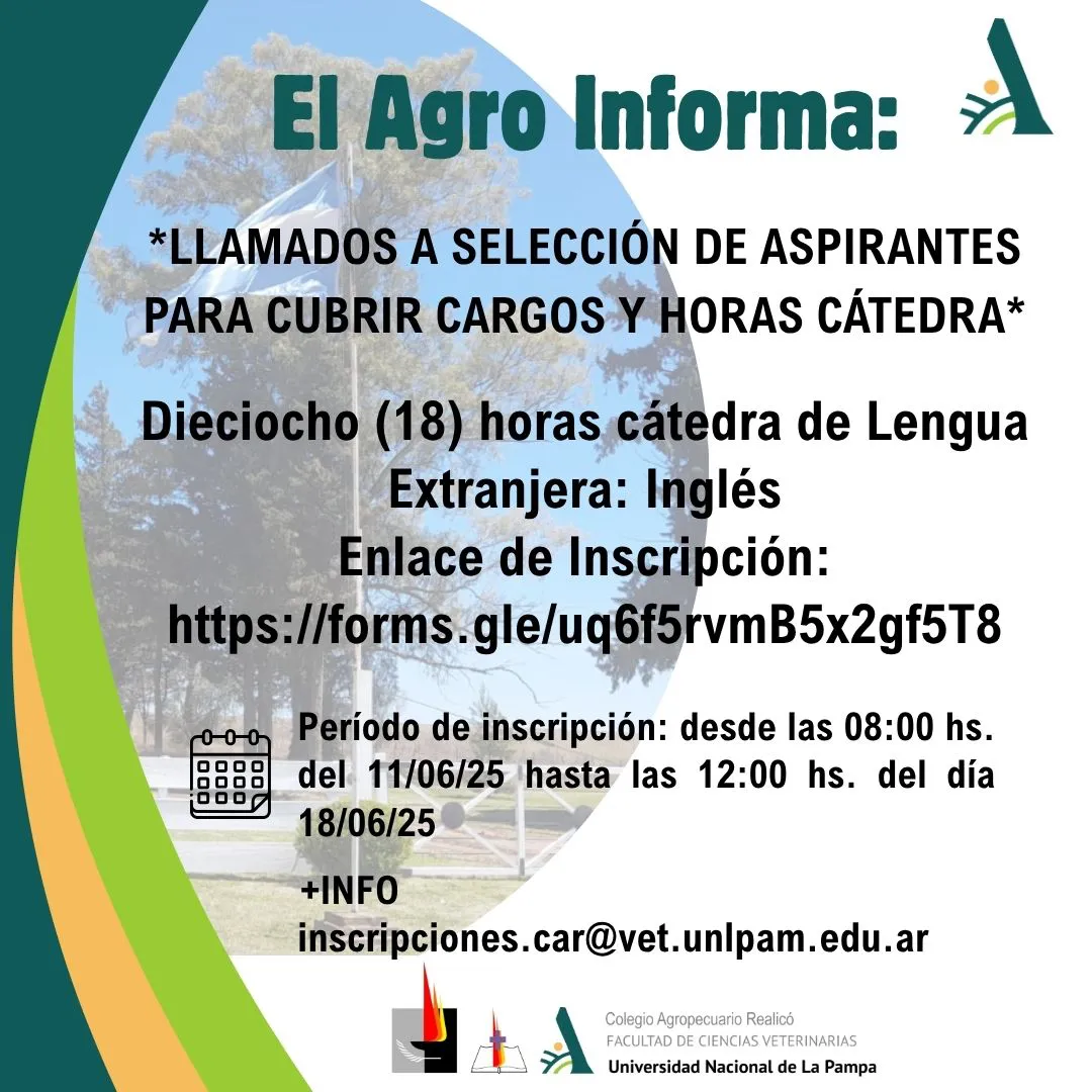 WhatsApp Image 2025-06-11 at 8.44.39 AM(1)