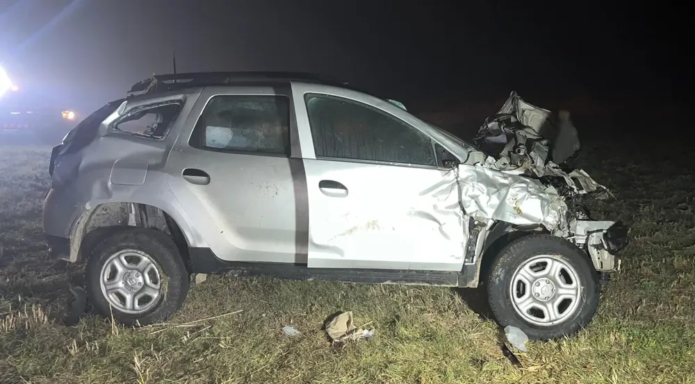 choque duster luiggi animales 2 FILE