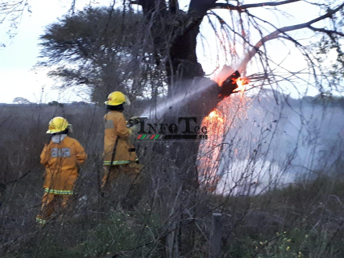 f5499946-3f33-4a18-9946-7ac830b78852