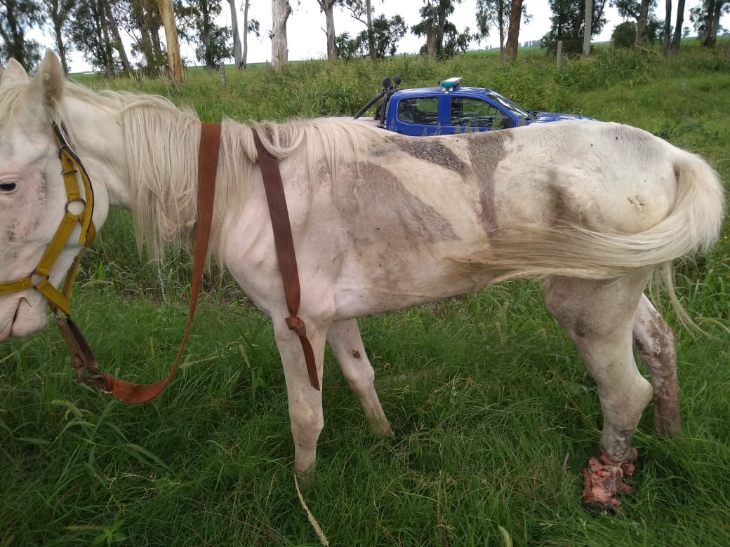 c424c714-0f4a-4083-9031-07a8e8f38715