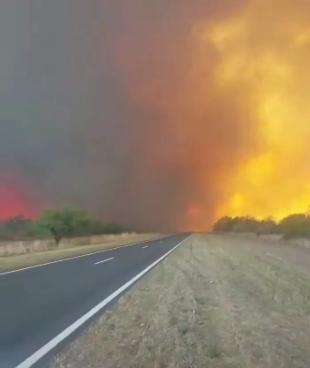 fuego san luis