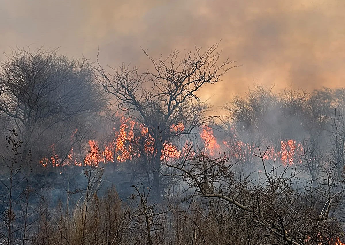 INCENDIOS CALDENES 1