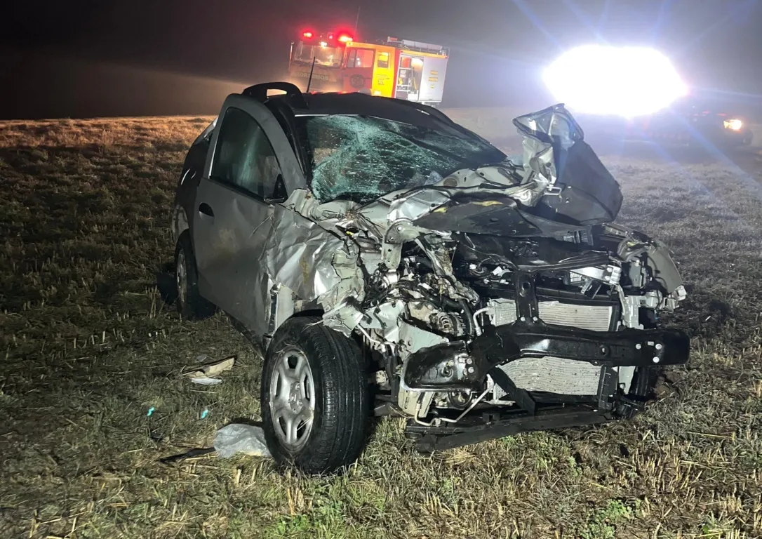 choque duster luiggi animales 1 FILE