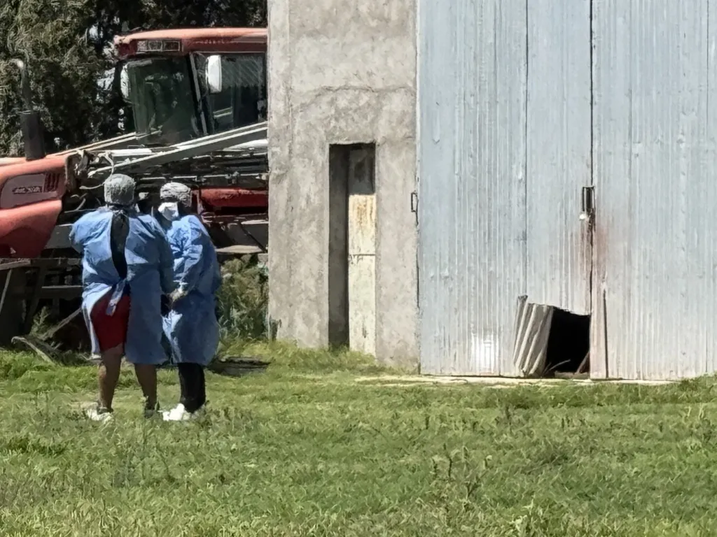 cortachapas taller boquete AIC 9 FILE