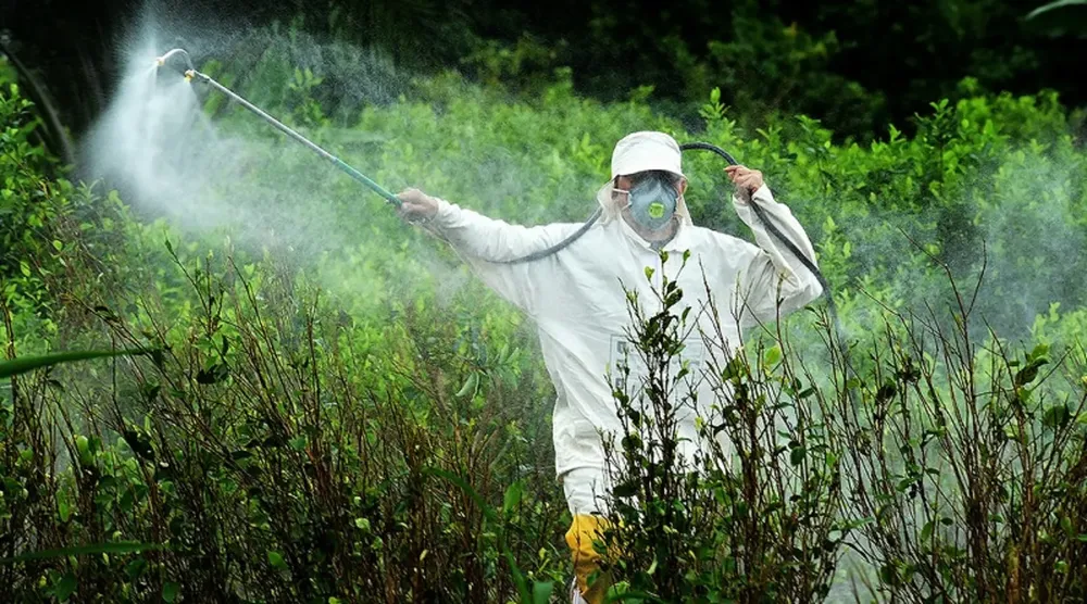 glifosato-misiones-6