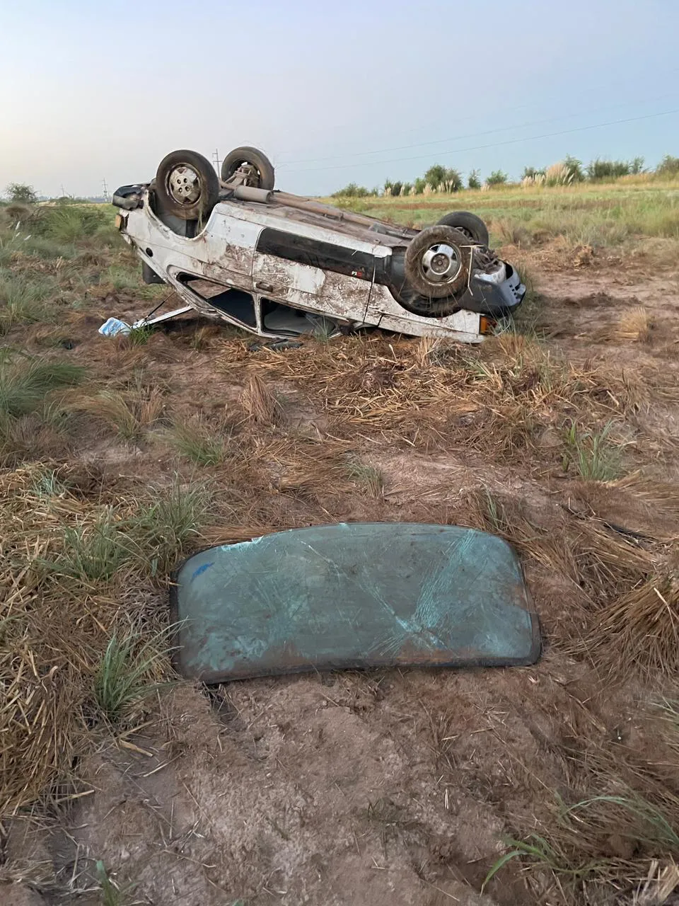 1dd1cbb5-b47e-41b2-a486-deff69d722a3